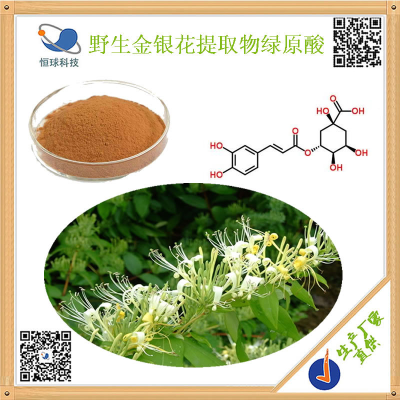 高品质金银花提取物绿原酸98%含量 规格齐全，欢迎电询购买，包邮到家