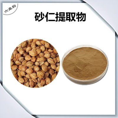 砂仁提取物与砂仁粉 药食同源理念下的天然健康之选
